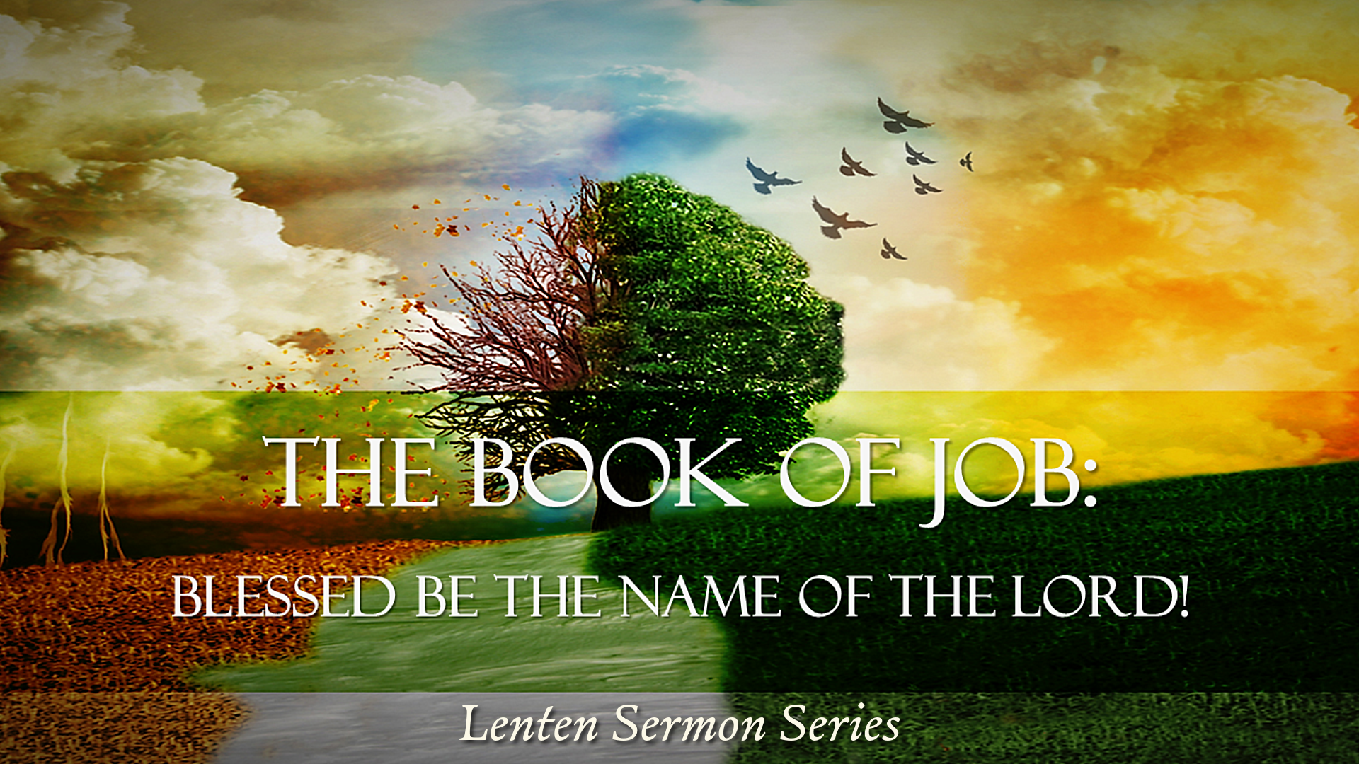 Announcement Slide Job Blessed Be The Name Of The Lord
