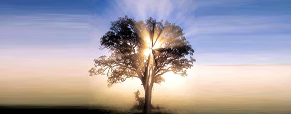 Living With Hope, Hurts, Habits And Hangups Northstar Church